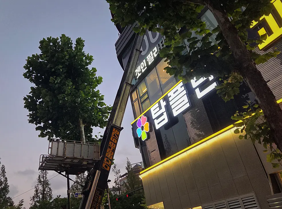 종로구 아파트 혈흔제거 전문 현장 시공 실사
